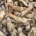 新鲜蛏王肉冷冻竹节蛏子现剥海捕蛏子肉贝类海鲜
