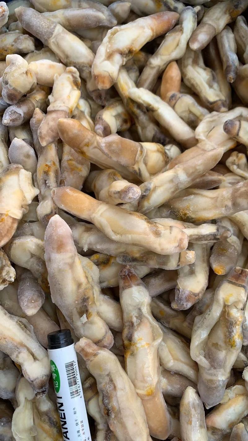 新鲜蛏王肉冷冻竹节蛏子现剥海捕蛏子肉贝类海鲜