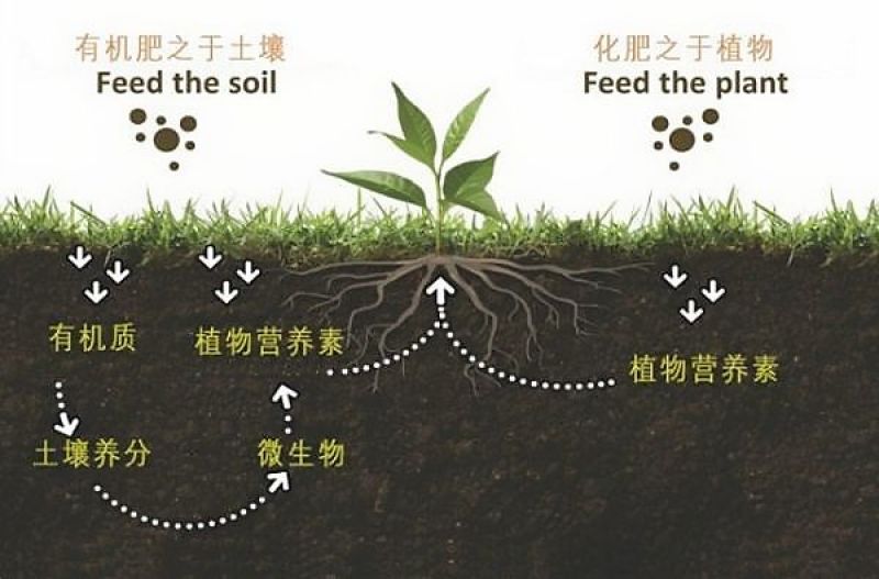 炽繁（升级版）发酵纯鸡粪厂家直发瓜果蔬菜药材花卉肥料