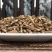 山豆根中药材精选山豆根豆根苦豆根新货无硫北豆根