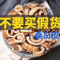 桑白皮桑皮桑根皮白桑皮无硫桑皮