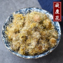 野生云南高品质旋复花旋覆花中药材批发金钱菊