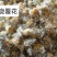 野生云南高品质旋复花旋覆花中药材批发金钱菊