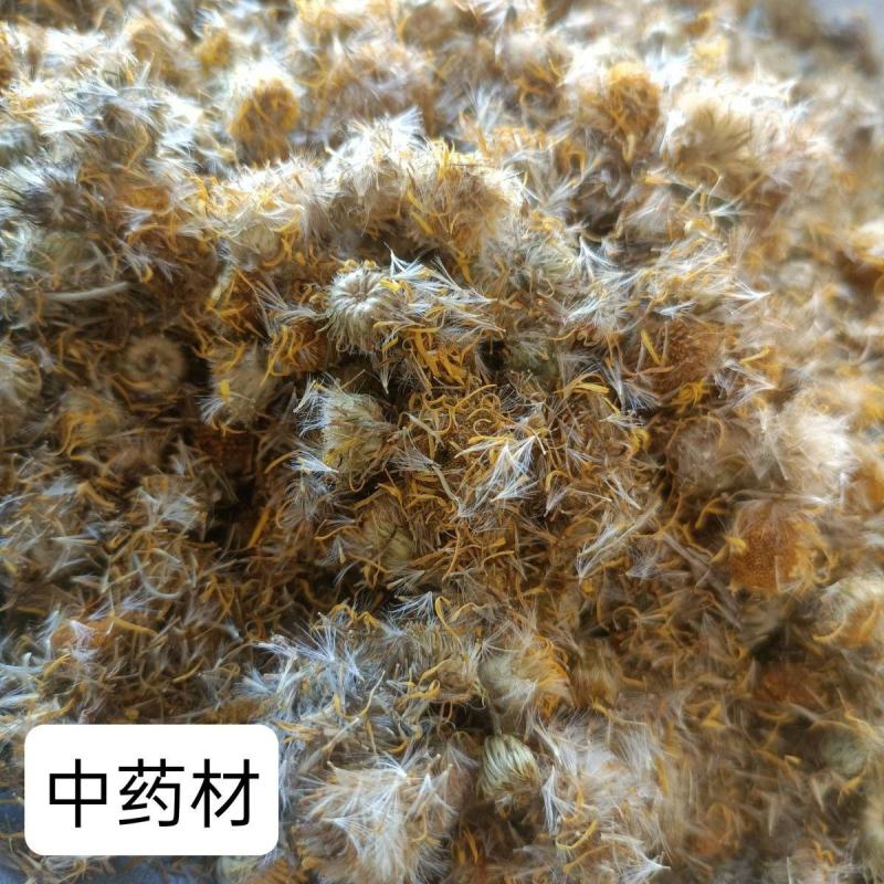 野生云南高品质旋复花旋覆花中药材批发金钱菊