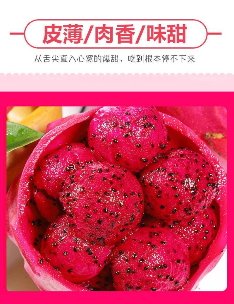 【精品】红心火龙果超甜新鲜应季热带水果金都一号一件代发