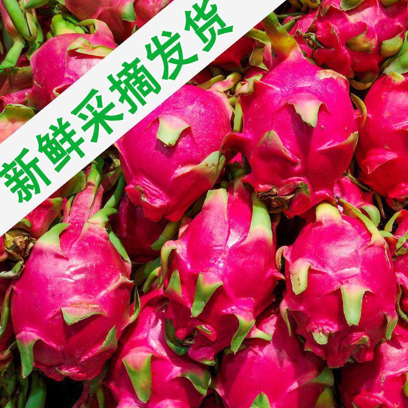 【精品】红心火龙果超甜新鲜应季热带水果金都一号一件代发