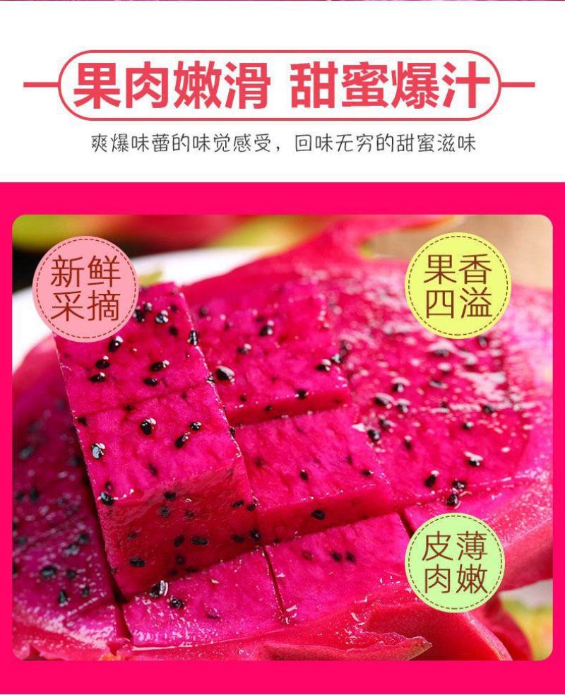 【精品】红心火龙果超甜新鲜应季热带水果金都一号一件代发