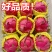 【精品】红心火龙果超甜新鲜应季热带水果金都一号一件代发