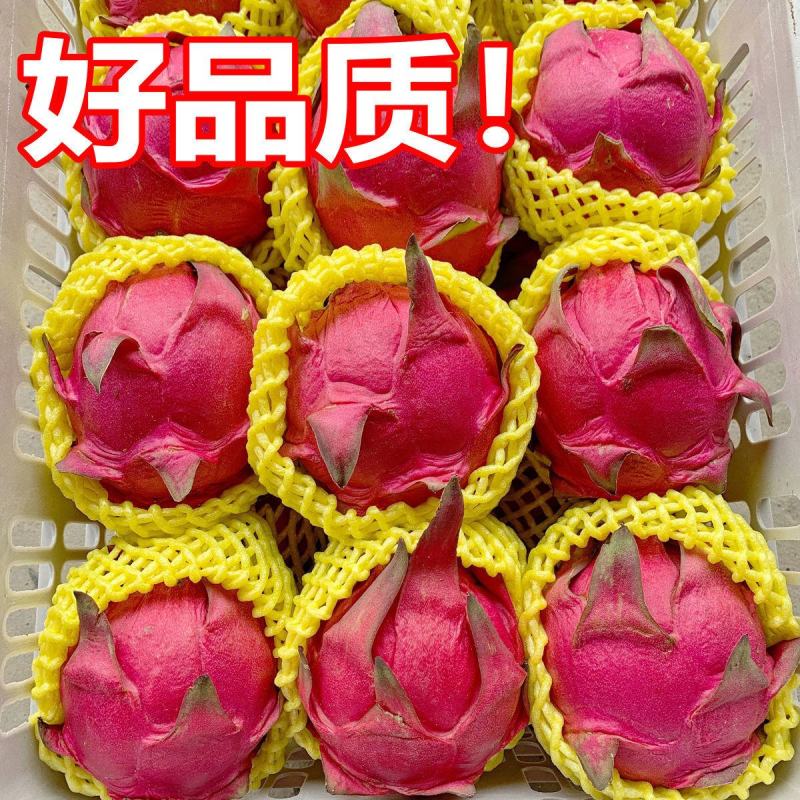 【精品】红心火龙果超甜新鲜应季热带水果金都一号一件代发