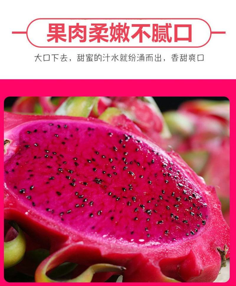 【精品】红心火龙果超甜新鲜应季热带水果金都一号一件代发