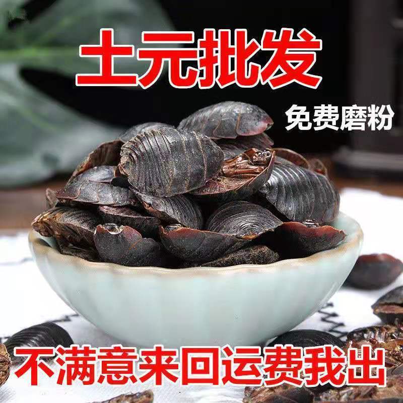 土元新干货中药材地鳖虫金边水洗无土土元虫土鳖虫土元虫