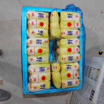 各种蔬菜