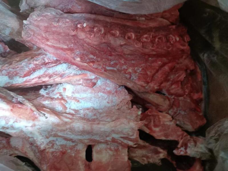 新鲜牛蝎子整只牛里脊骨真材实料烧烤火锅食材牛肉批发