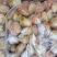 速冻扇贝肉新鲜冷冻鲜活现剥扇贝肉海鲜火锅食材大号瑶柱海鲜