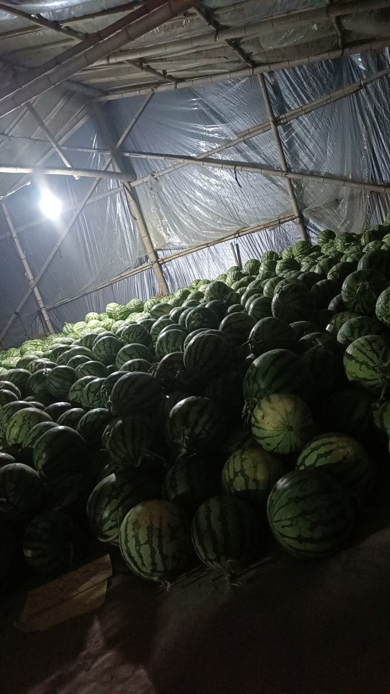 云南产地西瓜大量供应全国发货