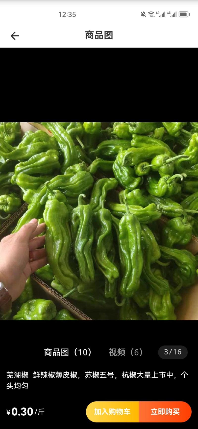 辣椒