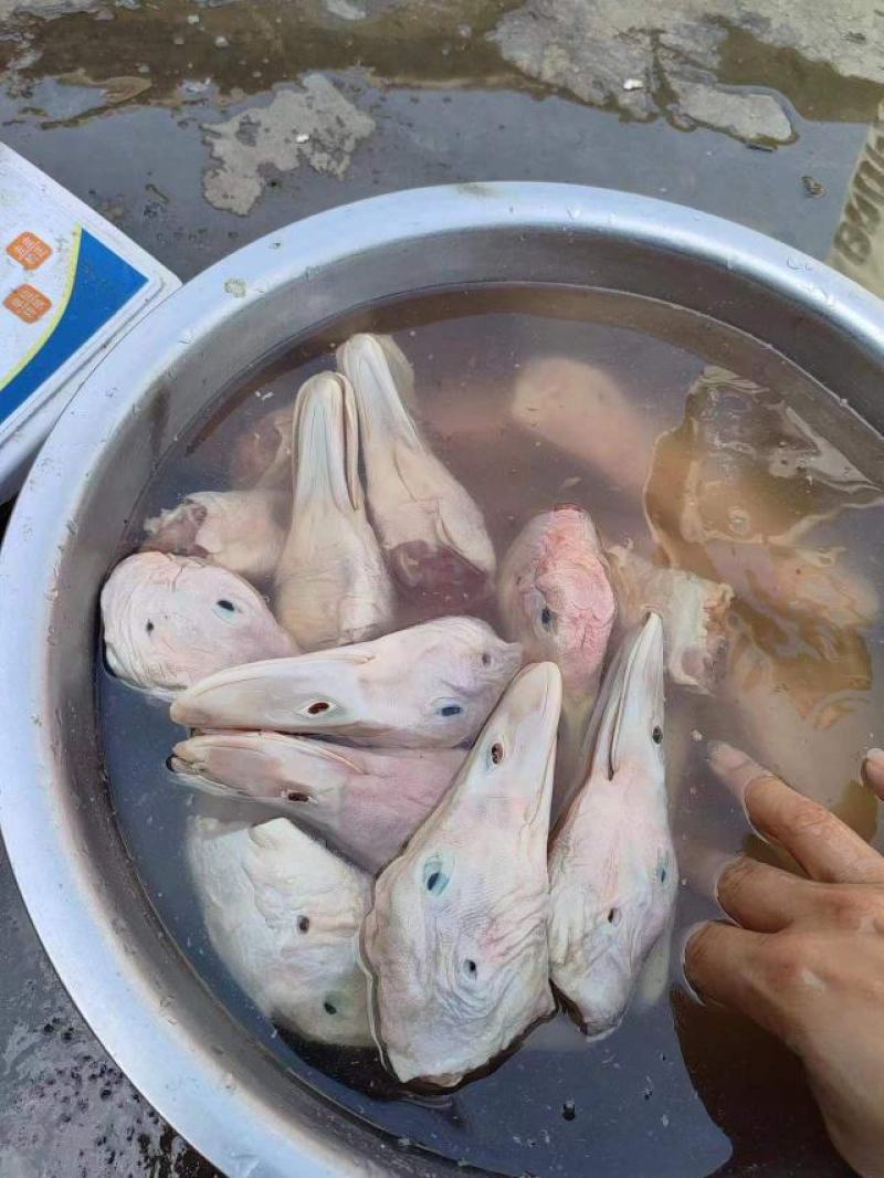 切鸭下巴鸭头1.6一个包到，价格低质量好切鸭下巴的**