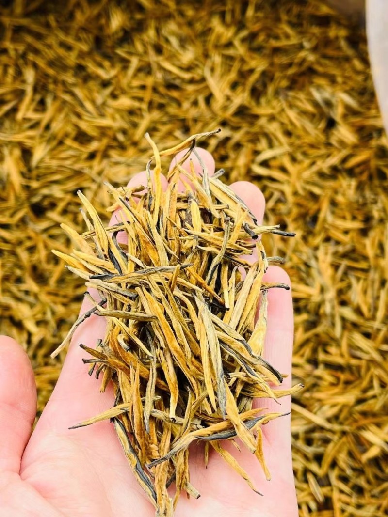 云南古树茶