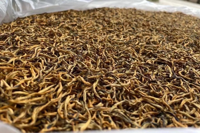 云南古树茶