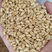 【2023新品】小麦上市颗粒饱满品质保障量大优惠欢迎来电