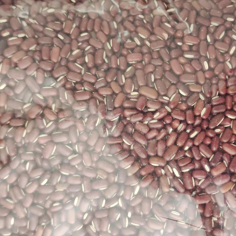 赤小豆，颜色好，货干，产地货源，保质保量，批发各种中药材