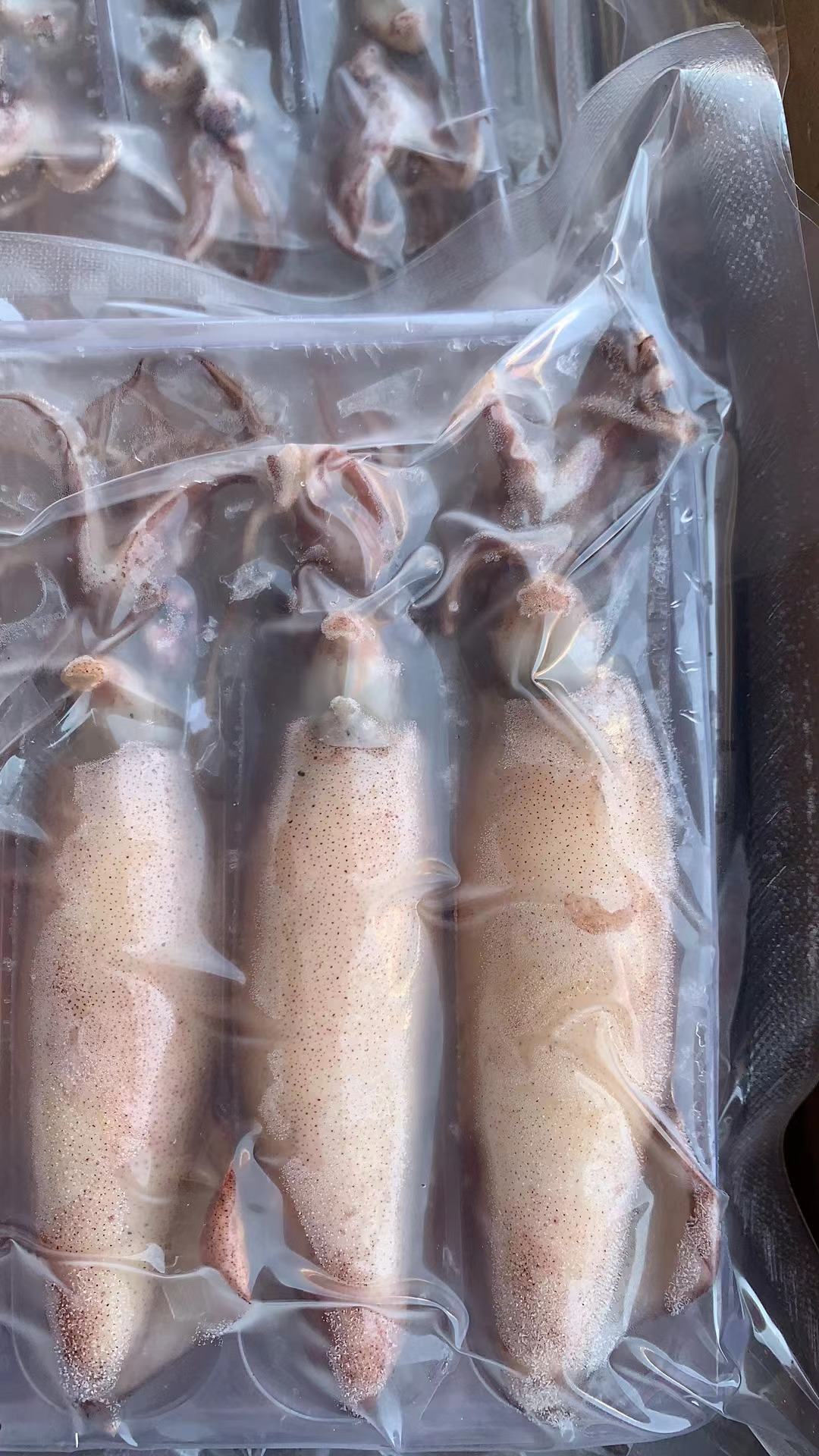 笔管鱼批发]全籽海兔，饭店，捞汁，工厂直发价格350.00元/件- 一亩田