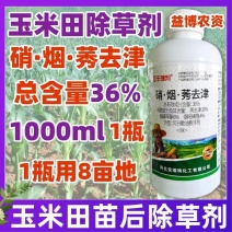 36%硝烟莠去津硝磺草酮烟嘧磺隆不伤玉米田苗后专用除草剂