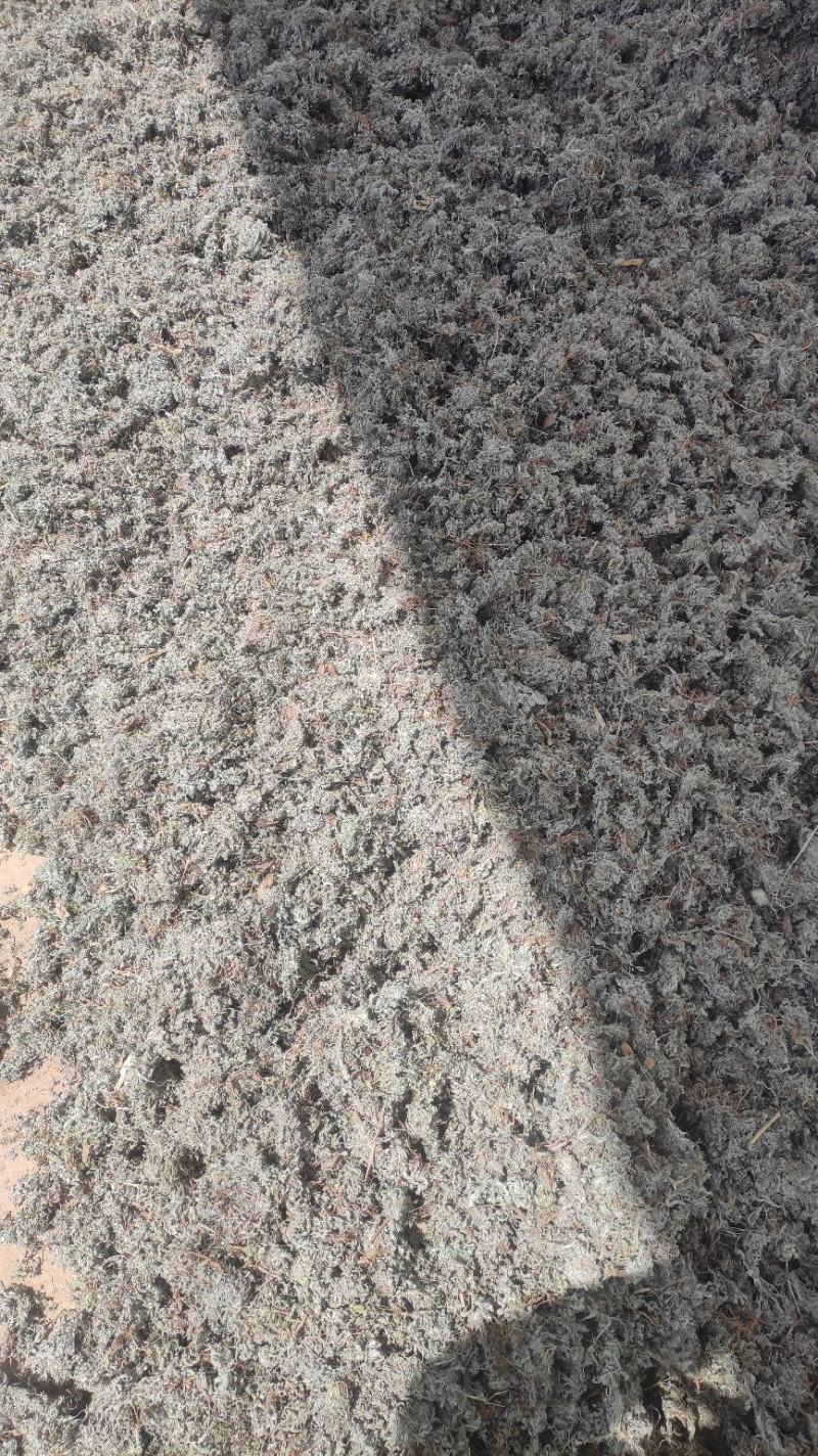 【热卖】茵陈高含量，产地直销，量大价优，欢迎进店联系