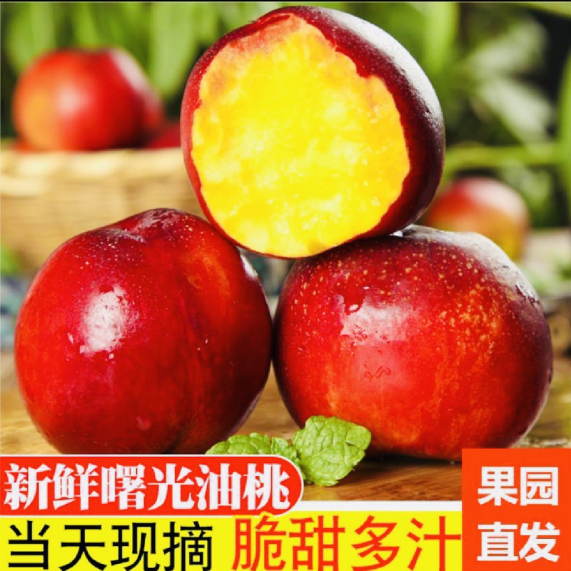 油桃(白心黄心518早熟、曙光、金雷、中油系）品种齐全