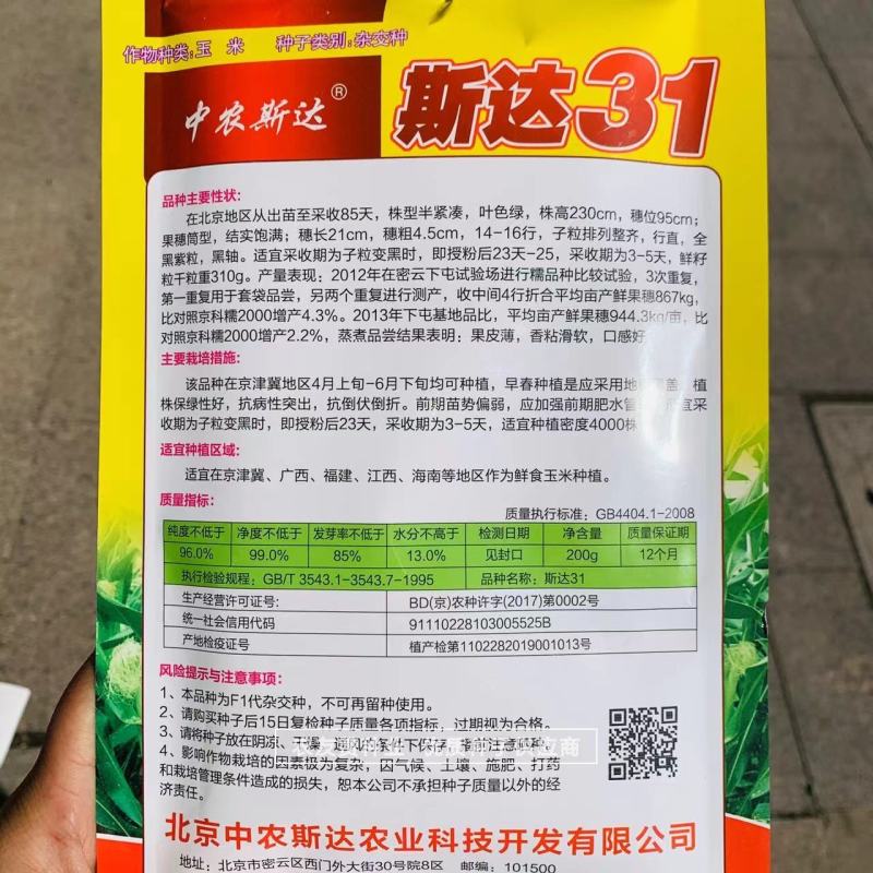 斯达31黑糯玉米种子皮薄，香粘滑软黑紫色玉米种子基地专用