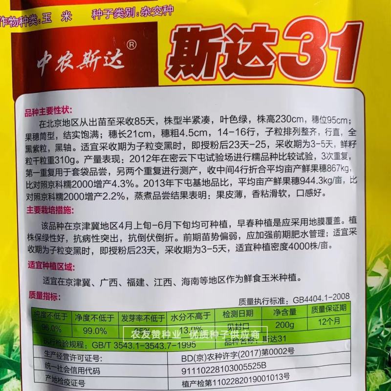 斯达31黑糯玉米种子皮薄，香粘滑软黑紫色玉米种子基地专用