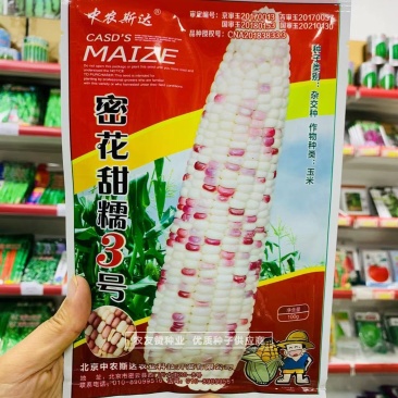中农斯达密花甜糯3号玉米种子彩甜糯玉米种子春夏秋播玉米种