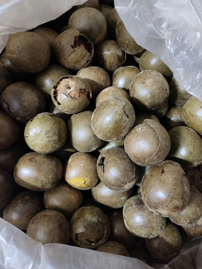 工厂直供，罗汉果，破果，烂果、泡茶、做调料、果皮、提取果