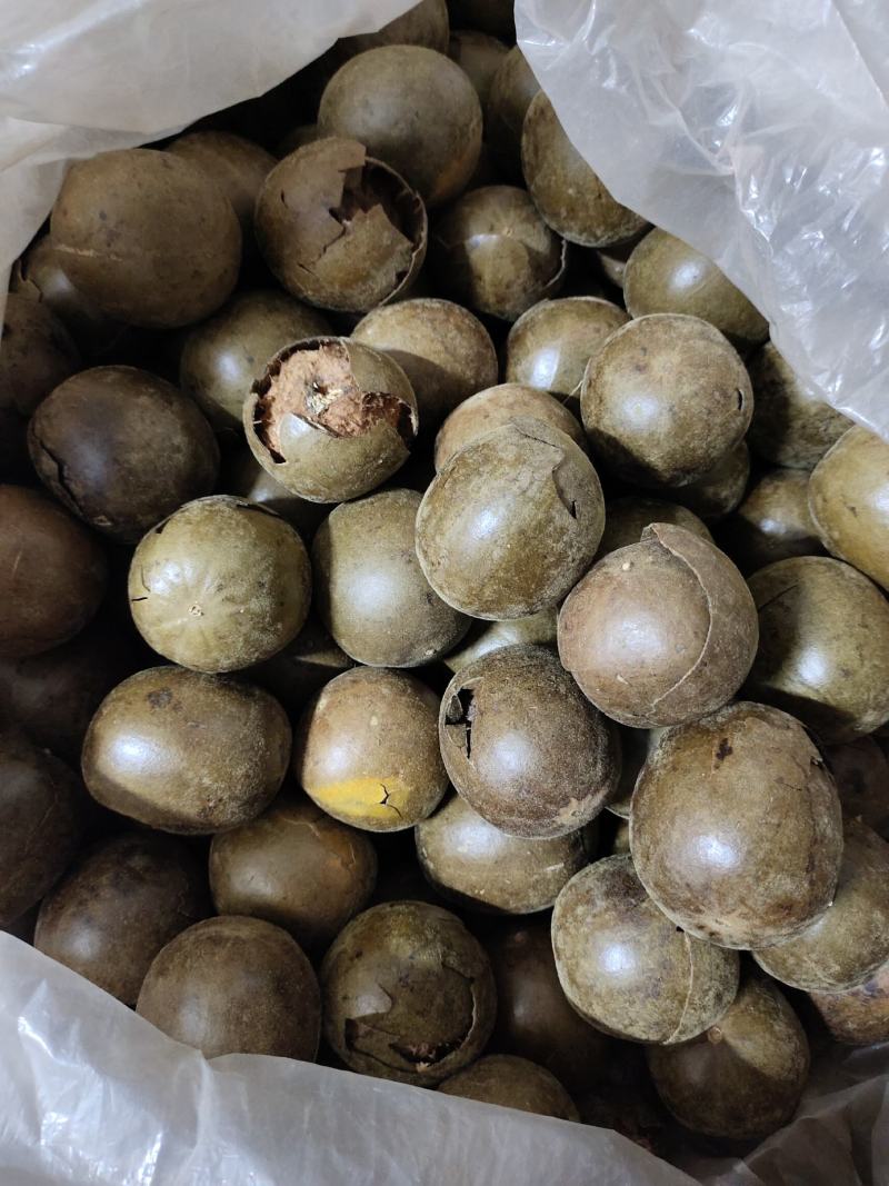 工厂直供，罗汉果，破果，烂果、泡茶、做调料、果皮、提取果