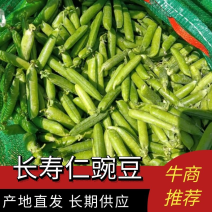 高原豌豆，货源充足，鲜豌豆荚大量供应，产地直供量大从优