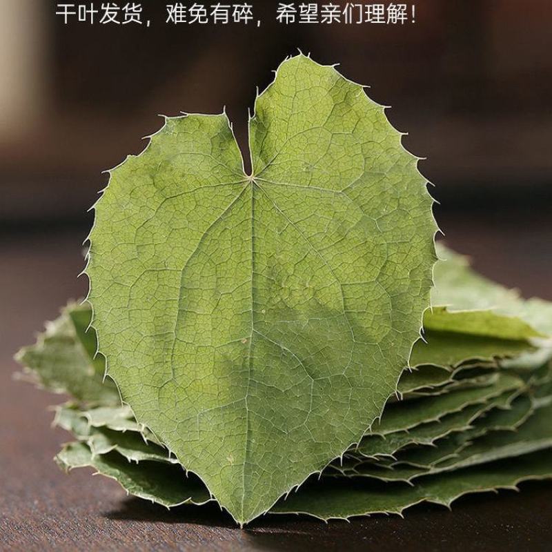 秦岭野生淫羊藿男性泡水泡酒料中药材仙灵脾羊火叶温肾