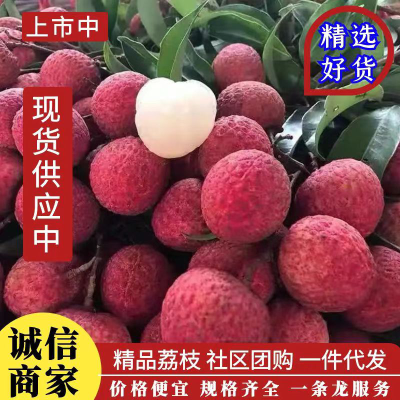 荔枝黑叶妃子笑桂味仙进奉兰竹一件代发和批发，社区团购