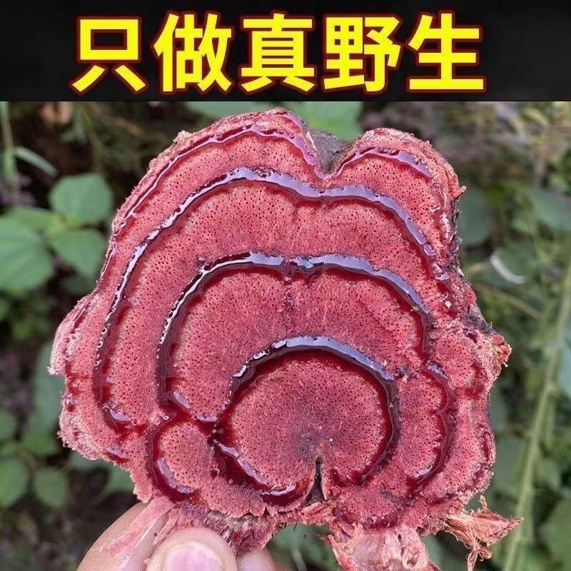 鸡血藤广西野生老藤中药材草药鸡血藤干品泡茶泡水泡酒泡脚