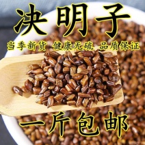 正宗宁夏熟决明子茶500克包邮炒决明子炒熟决明子泡茶非生