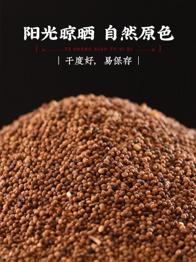 菟丝子中药材精选正宗内蒙菟丝籽男性无硫无杂泡茶泡水可吐丝