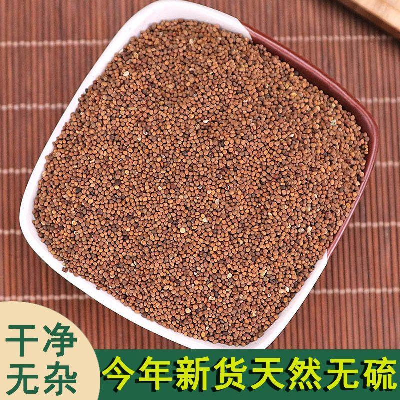 菟丝子中药材精选正宗内蒙菟丝籽男性无硫无杂泡茶泡水可吐丝