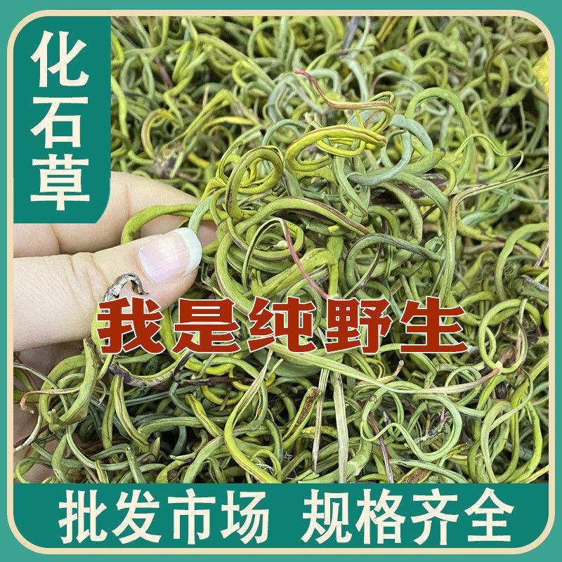 长白山野生化石草男性滋补调理养生肾精茶东北中药材化石草干