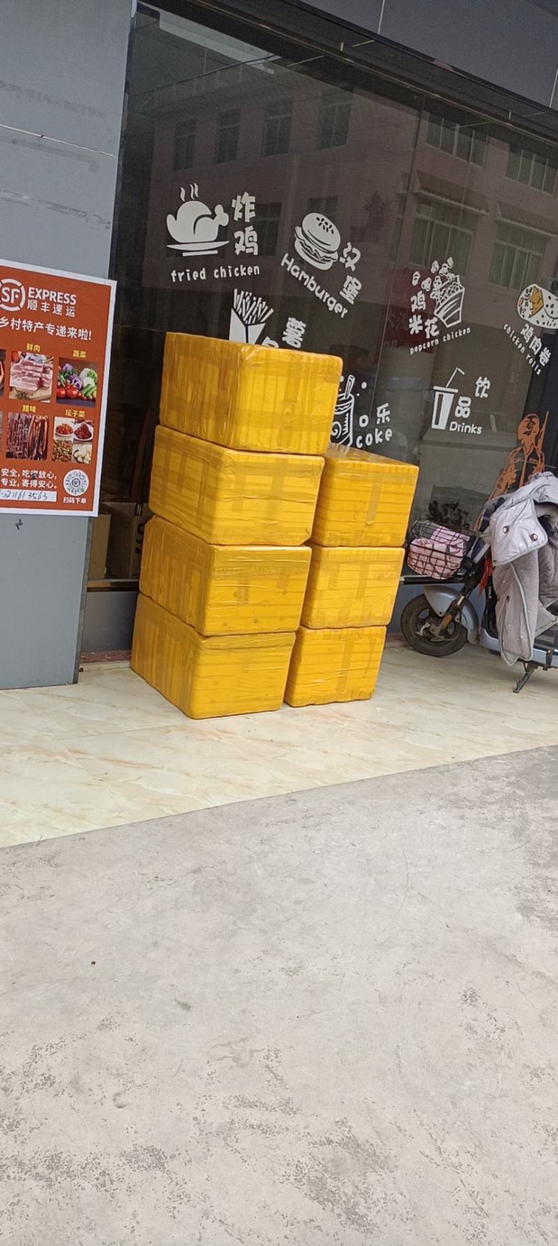 黑皮鸡枞菌大量供应，专车，顺丰，空运，可发全国