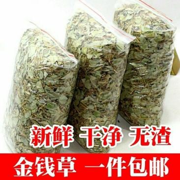 广西大叶金钱草500g/10g新货广金钱草化溶碎排浊清石