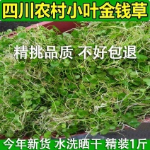 正宗小叶金钱草马蹄金小马蹄金草黄疸草螺丕草干货马蹄