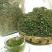 正宗小叶金钱草马蹄金小马蹄金草黄疸草螺丕草干货马蹄