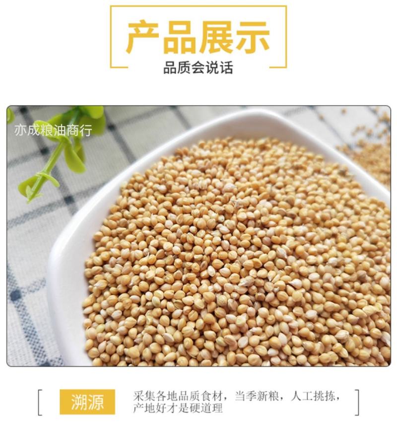 黄谷子批发大颗粒带壳小米五谷杂粮新谷子