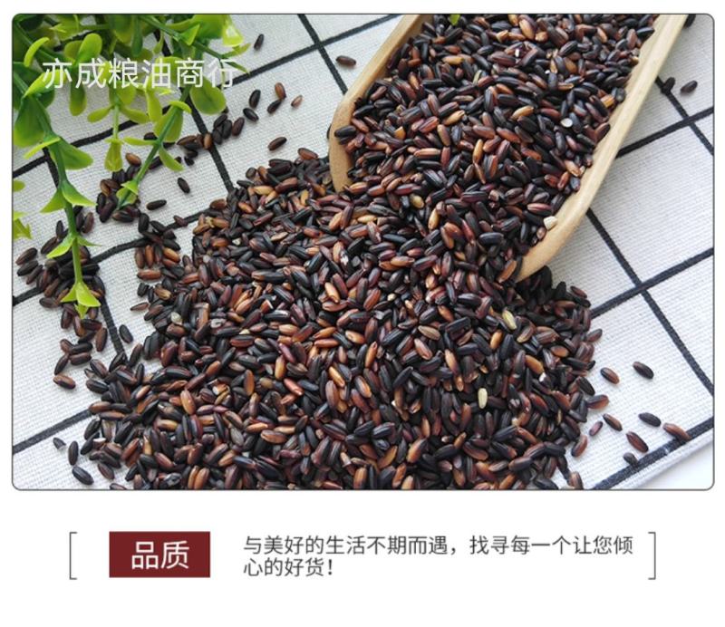 黑糯米批发大颗粒东北血糯米五谷杂粮新货糯米
