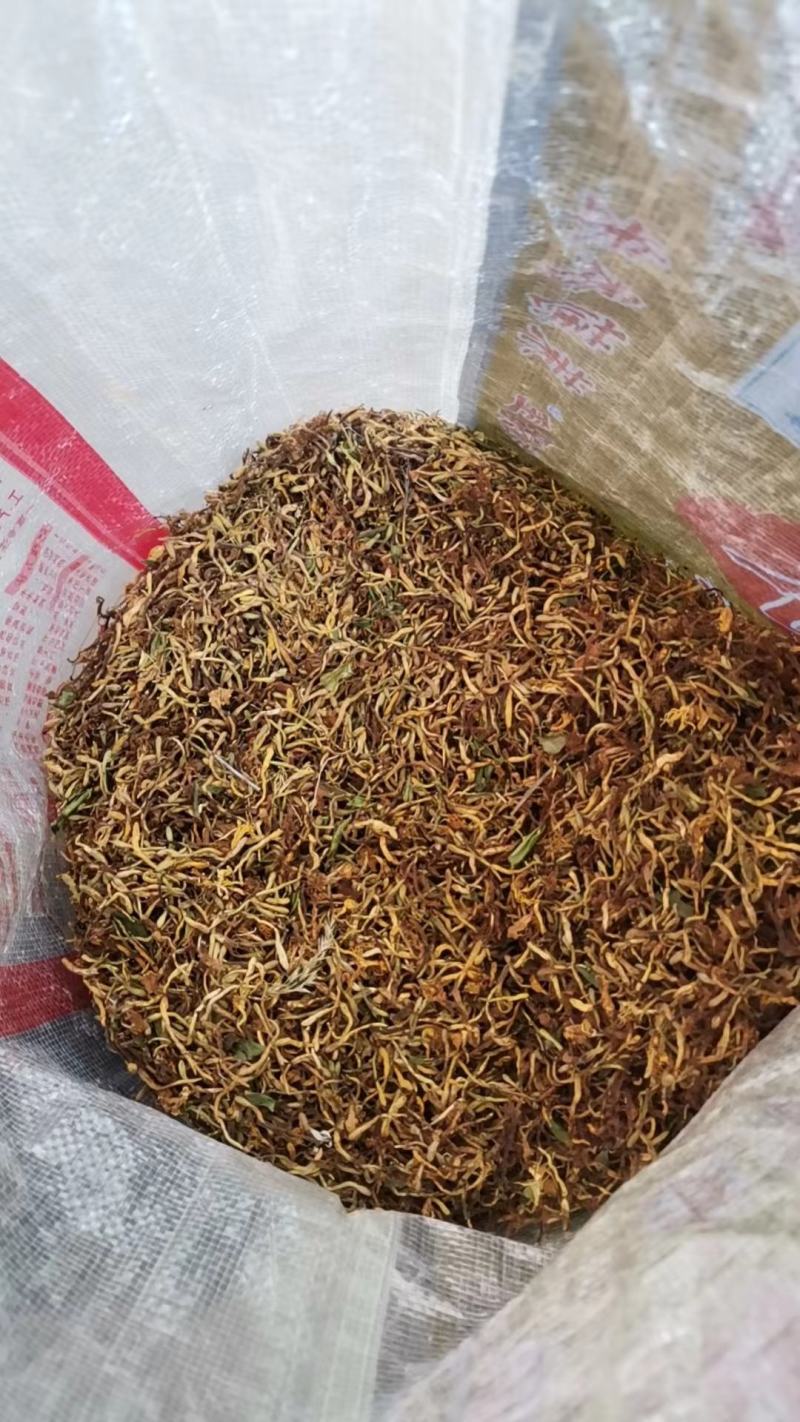 麻城大别山纯野生金银花