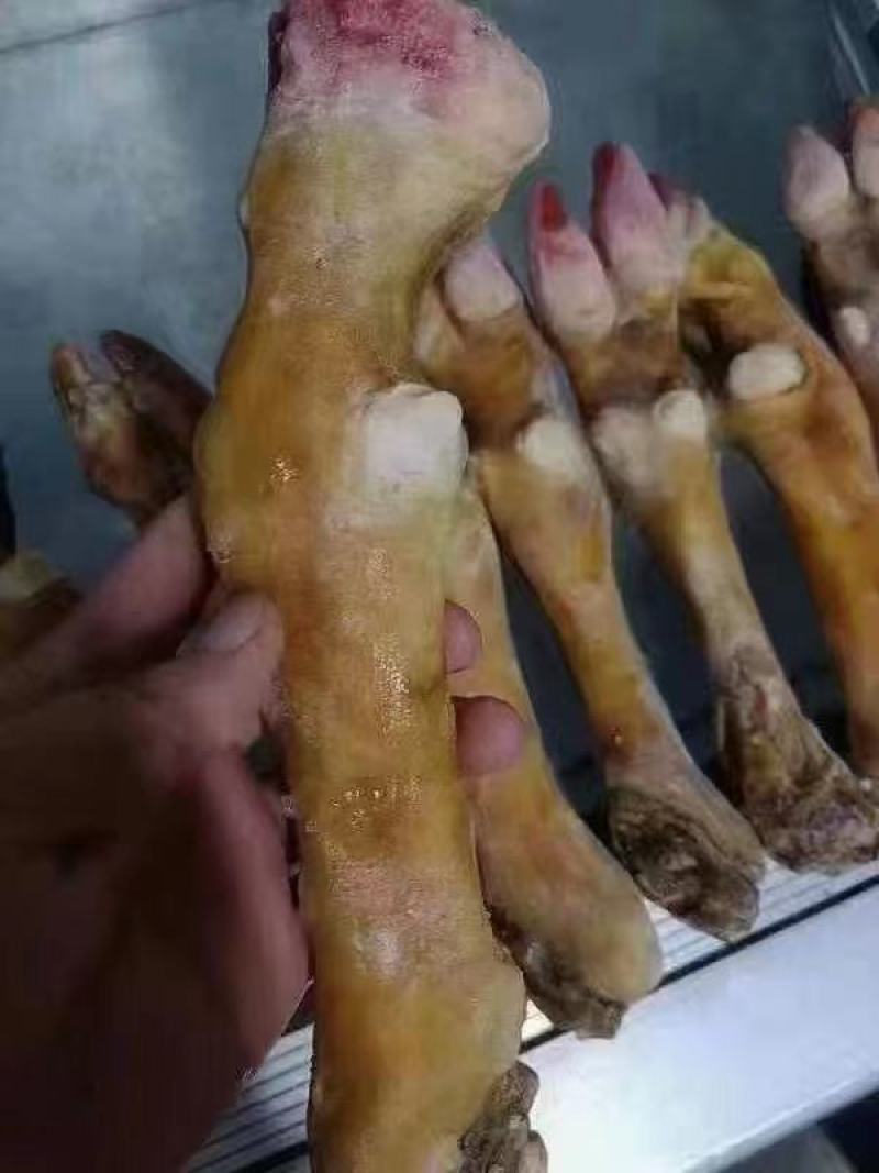 羊蹄，纯手工火烧羊蹄，纯干不抽筋，吃着更健康。